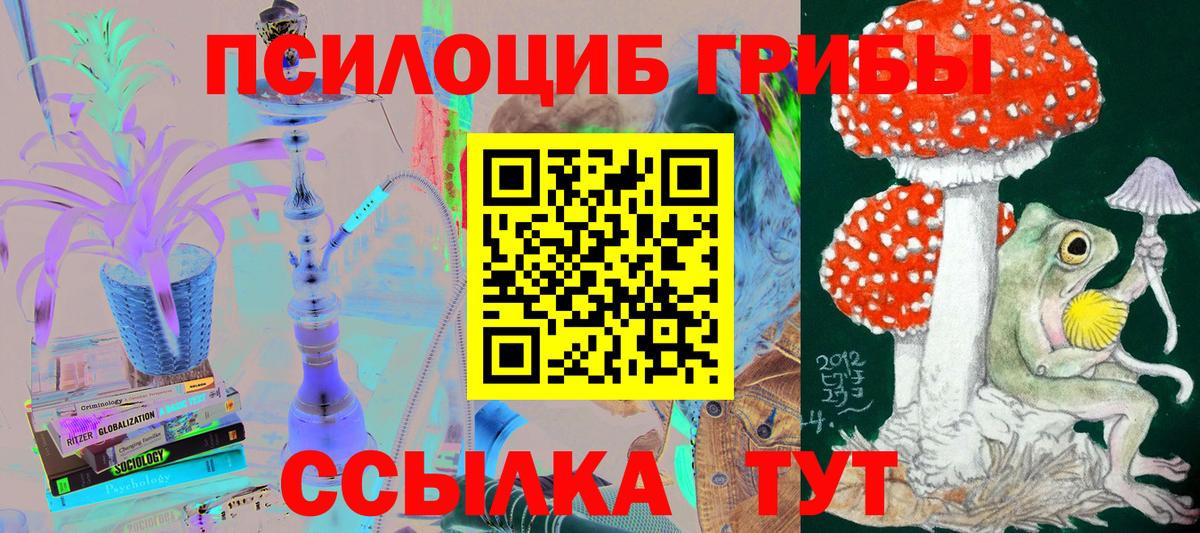 Псилоцибиновые грибы Psilocybe Барабинск